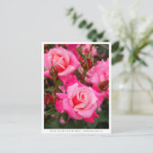 Rosa Princess Chichibu Briefkaart (Staand voorkant)
