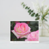 Rosa Princesse de Monaco Briefkaart (Staand voorkant)