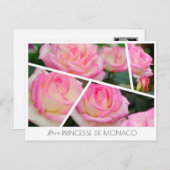 Rosa Princesse de Monaco Briefkaart (Voorkant / Achterkant)