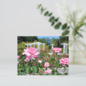 Rosa Queen Elizabeth Briefkaart (Staand voorkant)