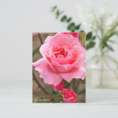 Rosa Queen Elizabeth (Briefkaart) ポ ス ト ー ド Briefkaart (Staand voorkant)