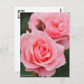 Rosa Queen Elizabeth:Briefkaart Briefkaart (Voorkant / Achterkant)