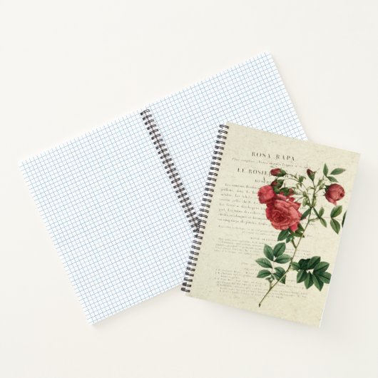 Rosa Rapa  Notitieboek (Binnen)