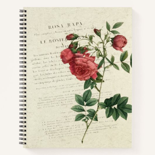 Rosa Rapa Vintage Notitieboek (Voorkant)