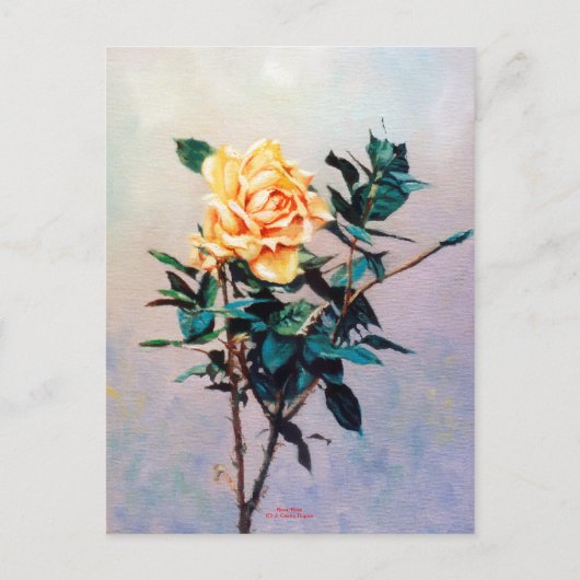 Rosa/Roos Briefkaart (Voorkant)