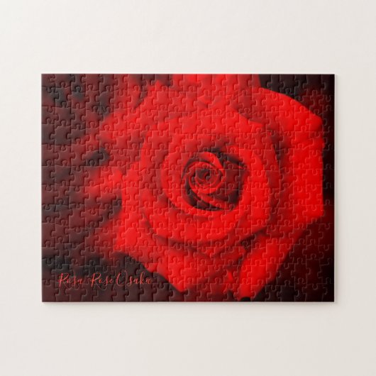 Rosa ‘Rose Osaka’  [Legpuzzel: 252P] Legpuzzel (Horizontaal)