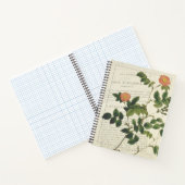  Rosa rubiginosa nemoralis Notitieboek (Binnen)