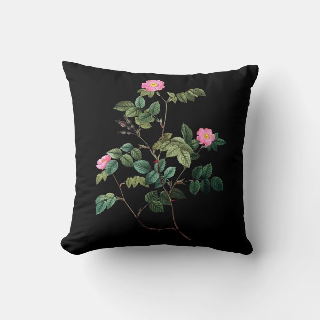 Rosa Rubiginosa Worpkussen Kussen (Voorkant)