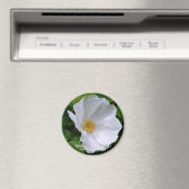 Rosa rugosa マ ネ ッ ト magneet (Insitu (Vaatwasser))