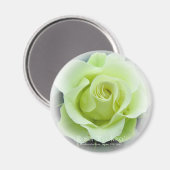 Rosa Ryokko Magneet (Voorkant / Achterkant)