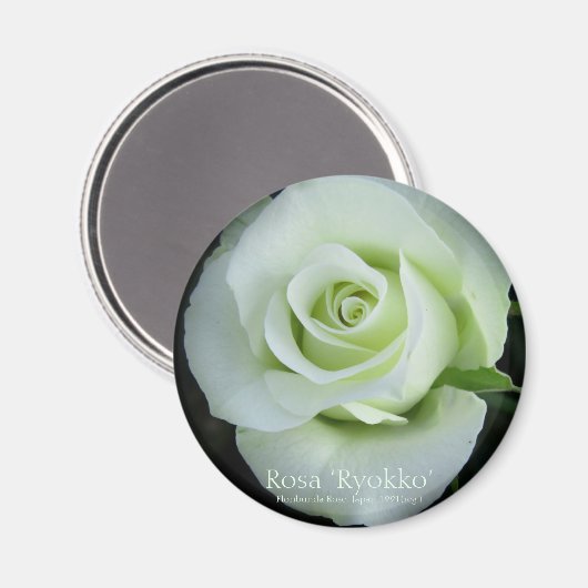 Rosa‘Ryokko’：Round Magnet (Voorkant / Achterkant)