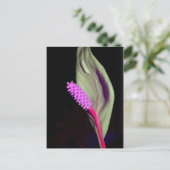 Rosa Schönheit Briefkaart (Staand voorkant)