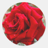 Rosa Schwartze Madonna [Round Seal] Ronde Sticker (Voorkant)