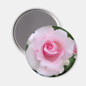 Rosa‘Soshun’:Round Magnet (Voorkant / Achterkant)