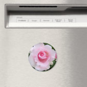 Rosa‘Soshun’:Round Magnet (Insitu (Vaatwasser))