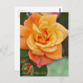 Rosa Souvenir de Anne Frank (Briefkaart) Briefkaart (Voorkant / Achterkant)