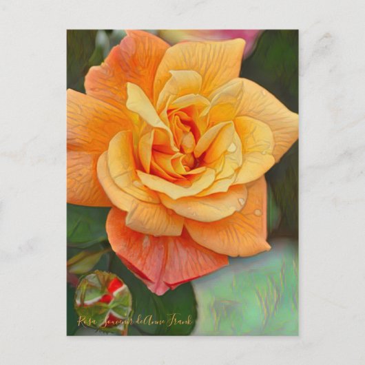 Rosa Souvenir de Anne Frank (Briefkaart) Briefkaart (Voorkant)