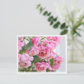 Rosa Spanish Beauty Briefkaart (Staand voorkant)