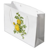 Rosa sulfurea, gele roos van Redouté Groot Cadeauzakje (Achterkant Gekanteld)