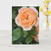 Rosa Sunset Memory:Greeting card Kaart (Gele Bloem)