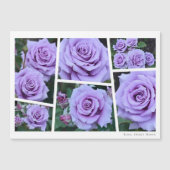 Rosa Sweet Moon (Voorkant)