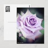 Rosa Sweet Moon Briefkaart (Voorkant / Achterkant)