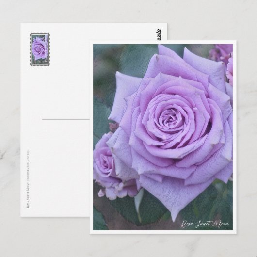 Rosa Sweet Moon Briefkaart (Voorkant / Achterkant)