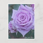 Rosa Sweet Moon Briefkaart (Voorkant)