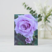 Rosa Sweet Moon:Briefkaart Briefkaart (Staand voorkant)