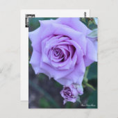 Rosa Sweet Moon:Briefkaart Briefkaart (Voorkant / Achterkant)