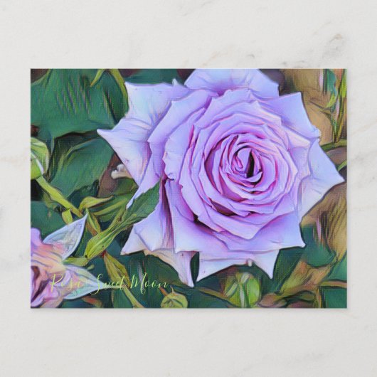 Rosa Sweet Moon (Briefkaart) Briefkaart (Voorkant)