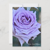 Rosa Sweet Moon: Flat Card (Voorkant)