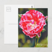 Rosa Tiger Tail [Briefkaart] Briefkaart (Voorkant / Achterkant)