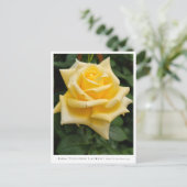 Rosa Toulouse Lautrec Briefkaart (Staand voorkant)