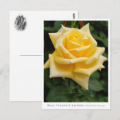 Rosa Toulouse Lautrec Briefkaart (Voorkant / Achterkant)