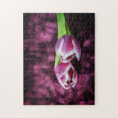 Rosa tulpen legpuzzel (Verticaal)