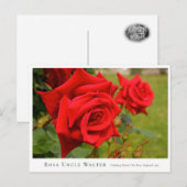Rosa Uncle Walter Briefkaart (Voorkant / Achterkant)