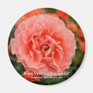 Rosa Vive les Vacances! マ グ ッ ト Magneet