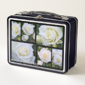 Rosa White Arrow (Voorkant)