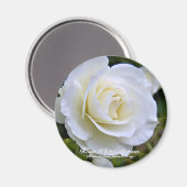 Rosa White Arrow マ グ ネ ト Magneet (Voorkant / Achterkant)