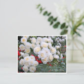 Rosa White Arrow Briefkaart (Staand voorkant)