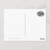 Rosa White Arrow Briefkaart (Achterkant)