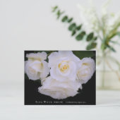 Rosa White Arrow Briefkaart (Staand voorkant)