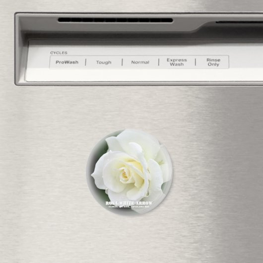 Rosa White Arrow Magneet (Insitu (Vaatwasser))