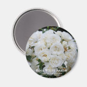 Rosa White Arrow Magneet (Voorkant / Achterkant)