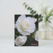 Rosa White Arrow:Postcard Briefkaart (Staand voorkant)