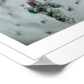 Rosalba Carriera Zedign Art Poster #11 (Hoek)