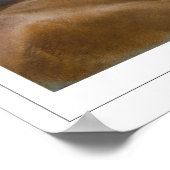 Rosalba Carriera Zedign Art Poster #13 (Hoek)