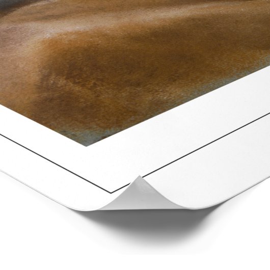 Rosalba Carriera Zedign Art Poster #13 (Hoek)