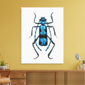 Rosalia Alpina beetle Canvas Afdruk (Insitu (Woonkamer))